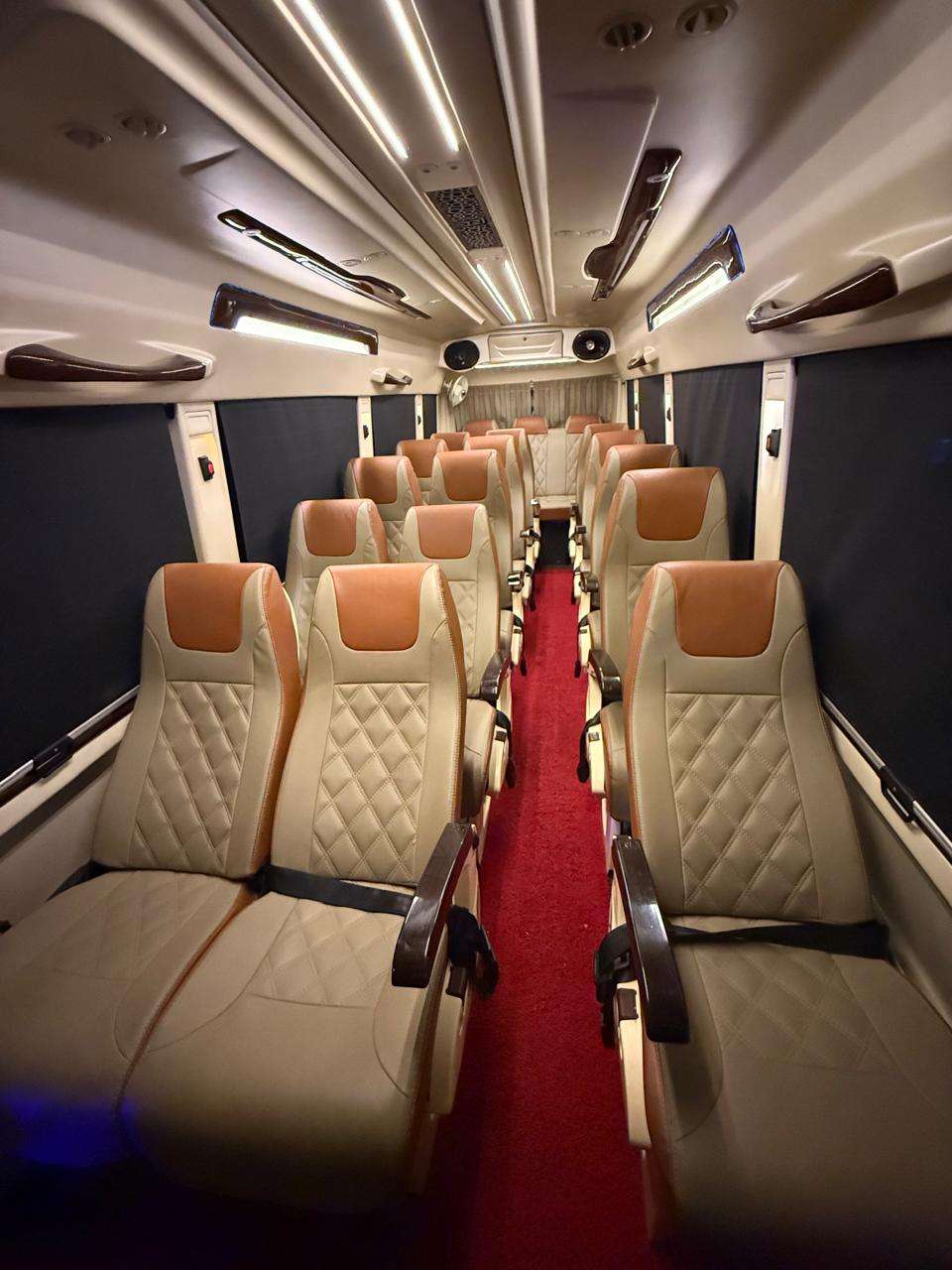 Inside View of Maharaja Seats in TT